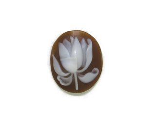 Lotus Flower cameo